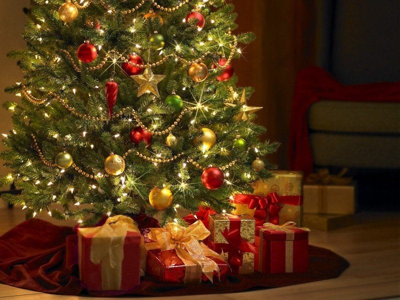 Bang om te sterven diep voorkomen Kerstboom met cadeautjes - Rentac Camper en Caravan verhuur